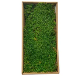 2Pcs Articial Bulk Moss Green Moss for Crafts/DIY Frame/ Wall 0.13 M² Sheet 36 x 18 CM
