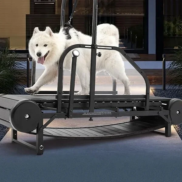 Dog Treadmill for Large Dogs: Indoor & Outdoor Canine Running Machine for Pet Health and Fitness, Doggy Exercise Equipment