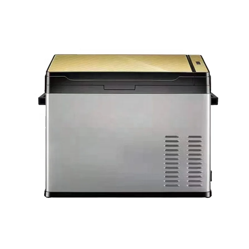 Refrigerator Car 30L 40L 50L Steel Mini Refrigerator Rv 12V 12 v 220v Car Refrigerator with Compressor