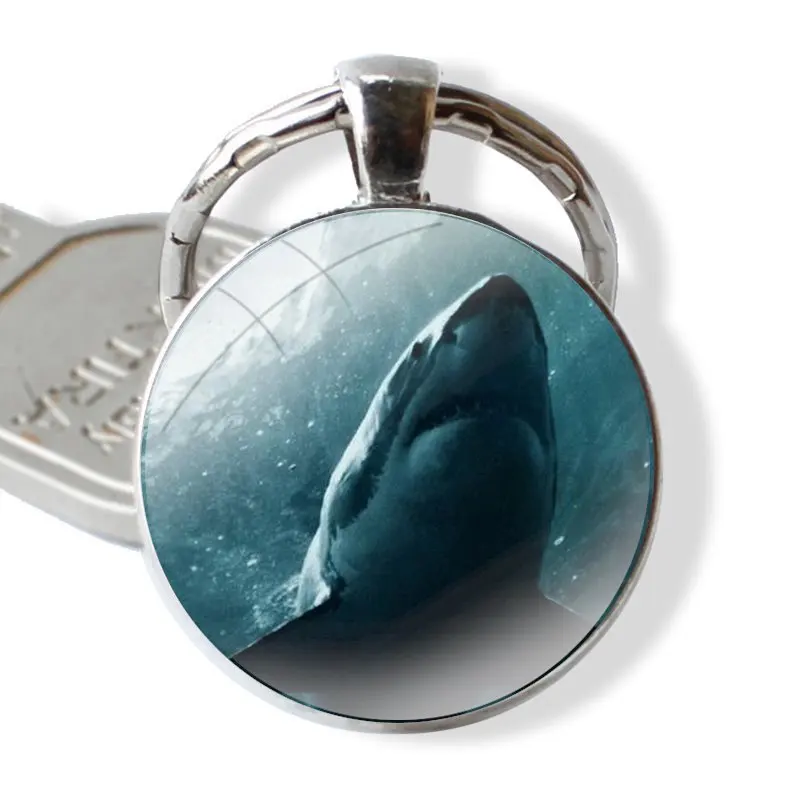 Glass Metal Pendant Key Chain Classic Men Women Key Ring Accessories Jewelry Gifts Killer Whale Orca