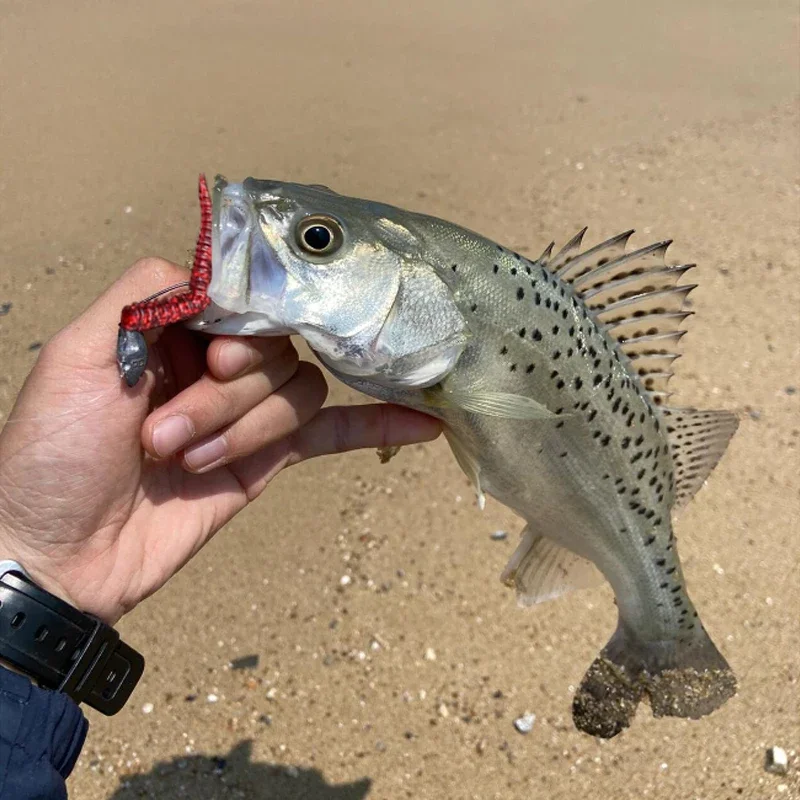 10 قطعة ديدان الرمل طعوم لينة العائمة محاكاة Millipede الصيد الطعوم لدغة مقاومة الدهون دودة القز لينة إغراء 52 مللي متر توبواتر الطعوم #6