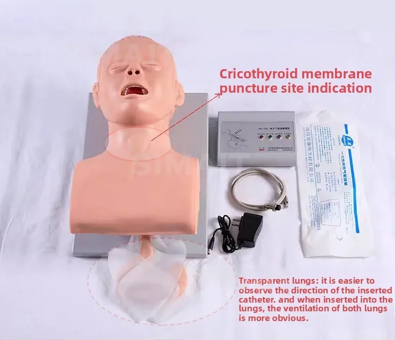 1:1 Life Size Airway Intubation Training Manikin | Electronic Simulator with Teeth & Pressure Feedback for Practice
