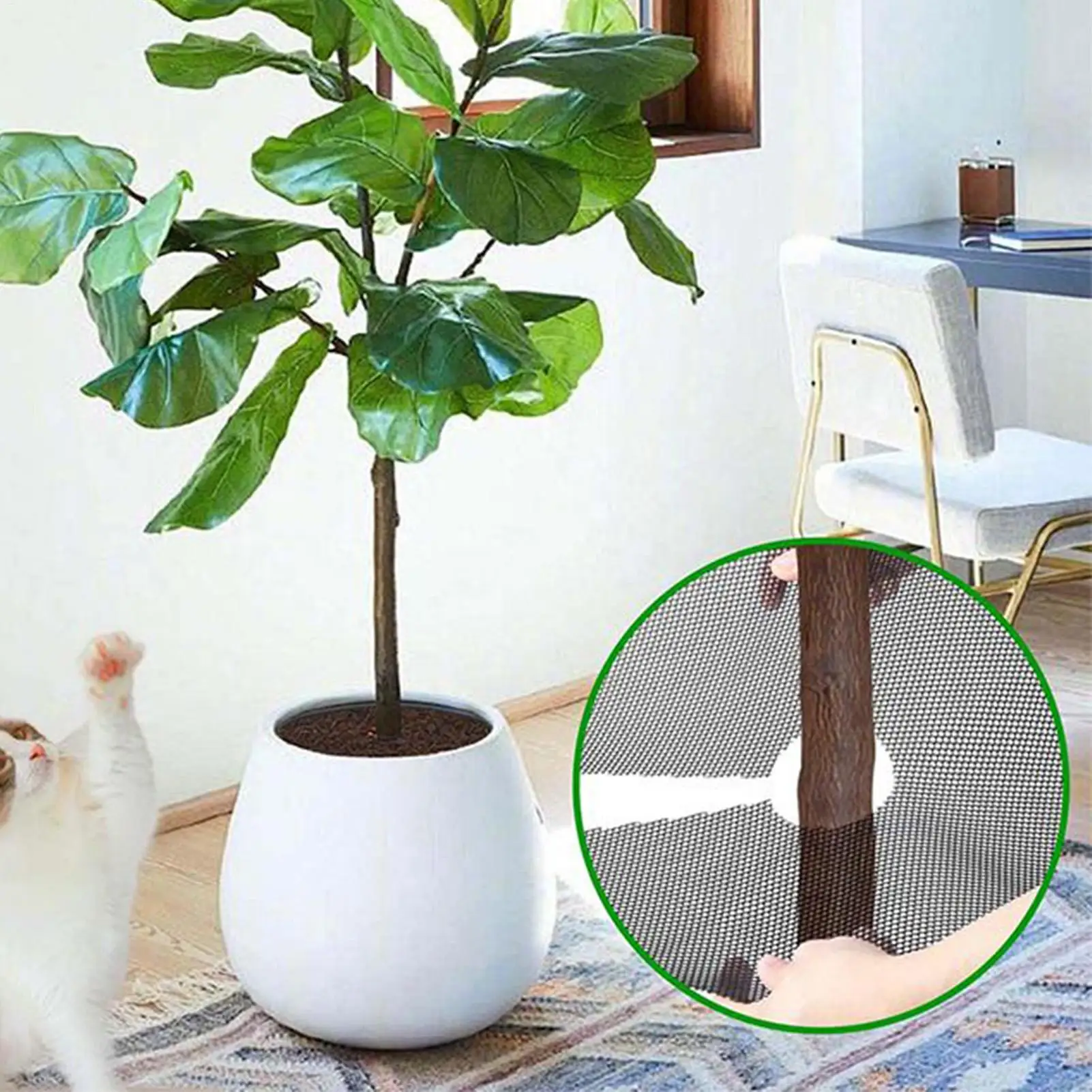 

Plant Pot Grid With Stakes 10 Pieces Pet Digging Stopper Garden Plant Soil Guard From Animals For Dogs Cats Pets Animals