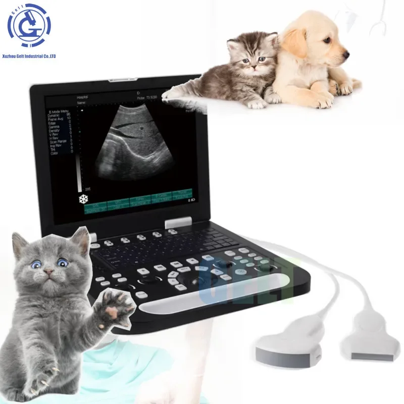 Portable Ultrasound Machine G-800 High End Other Veterinary Instrument Ultrasound Machine For Animal/Pet Use