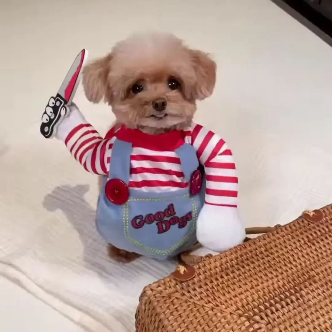 Disfraz de mascota Chucky de Child's Play, diseño 3D de mano levantada con cuchillo falso, traje transpirable para perros pequeños y medianos, gatos, fotos de fiestas