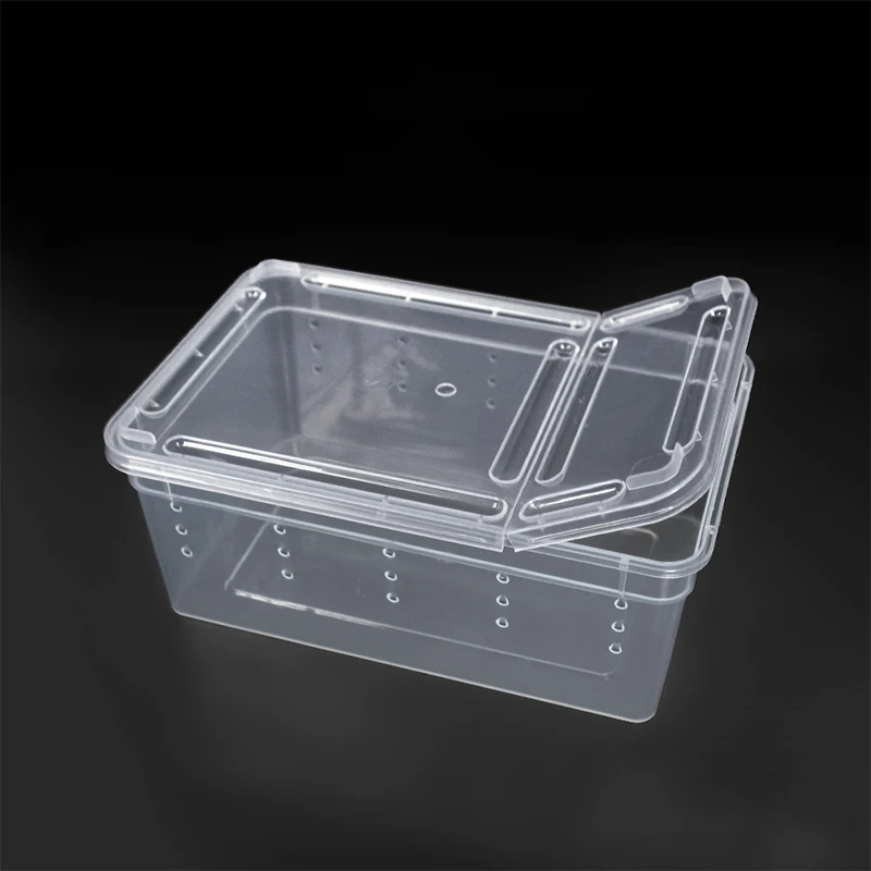 1pc Terrarium For Reptiles Spider Transparent Plastic Feeding Box Insect Lizard Beetle Transport Breeding Food Rearing Container