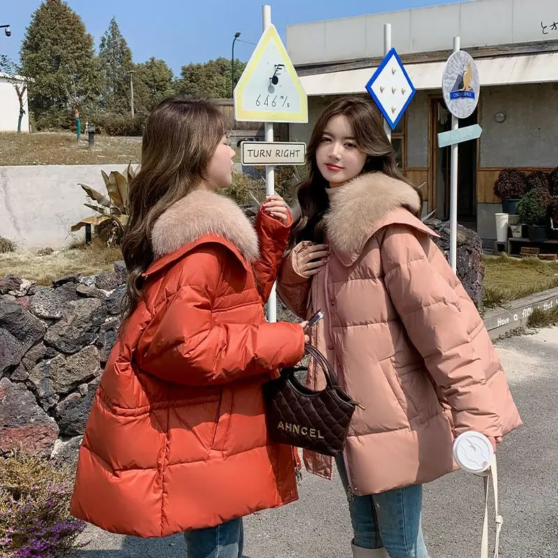 2026 Europese herfst/winter donsjack voor dames, losse vrijetijdsjas met marineblauwe kraag