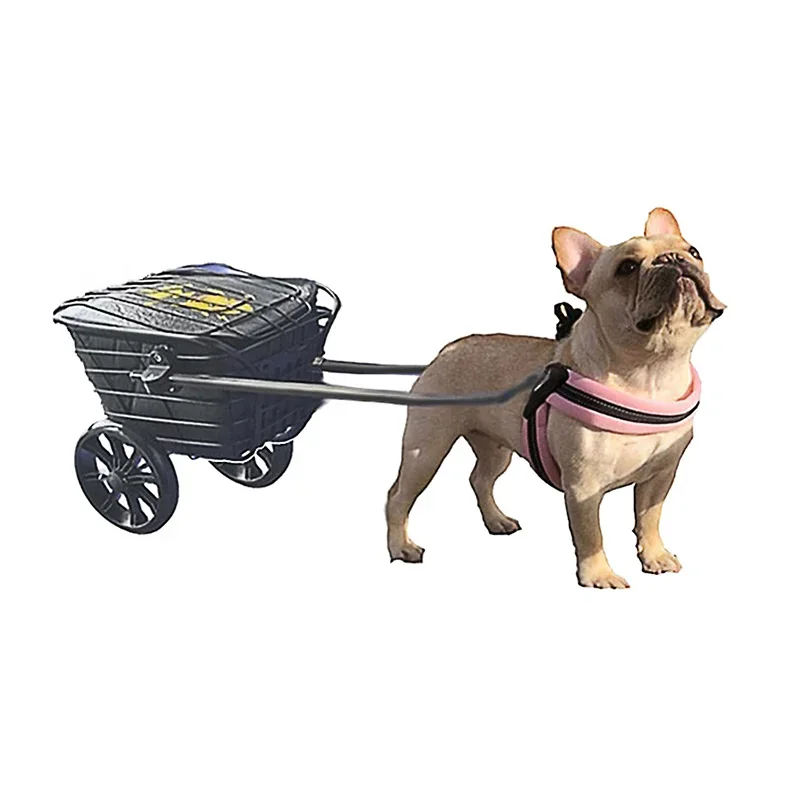 Small Dog Trailer Dog Small Pull Cart Puppy Toy Car