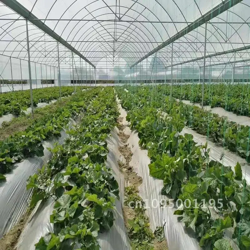 Plastic rope Nylon rope shed hanging seedling rope Tomato Support Climbing Sling rope Cantaloupe Cage Cucumber Plant Bean and