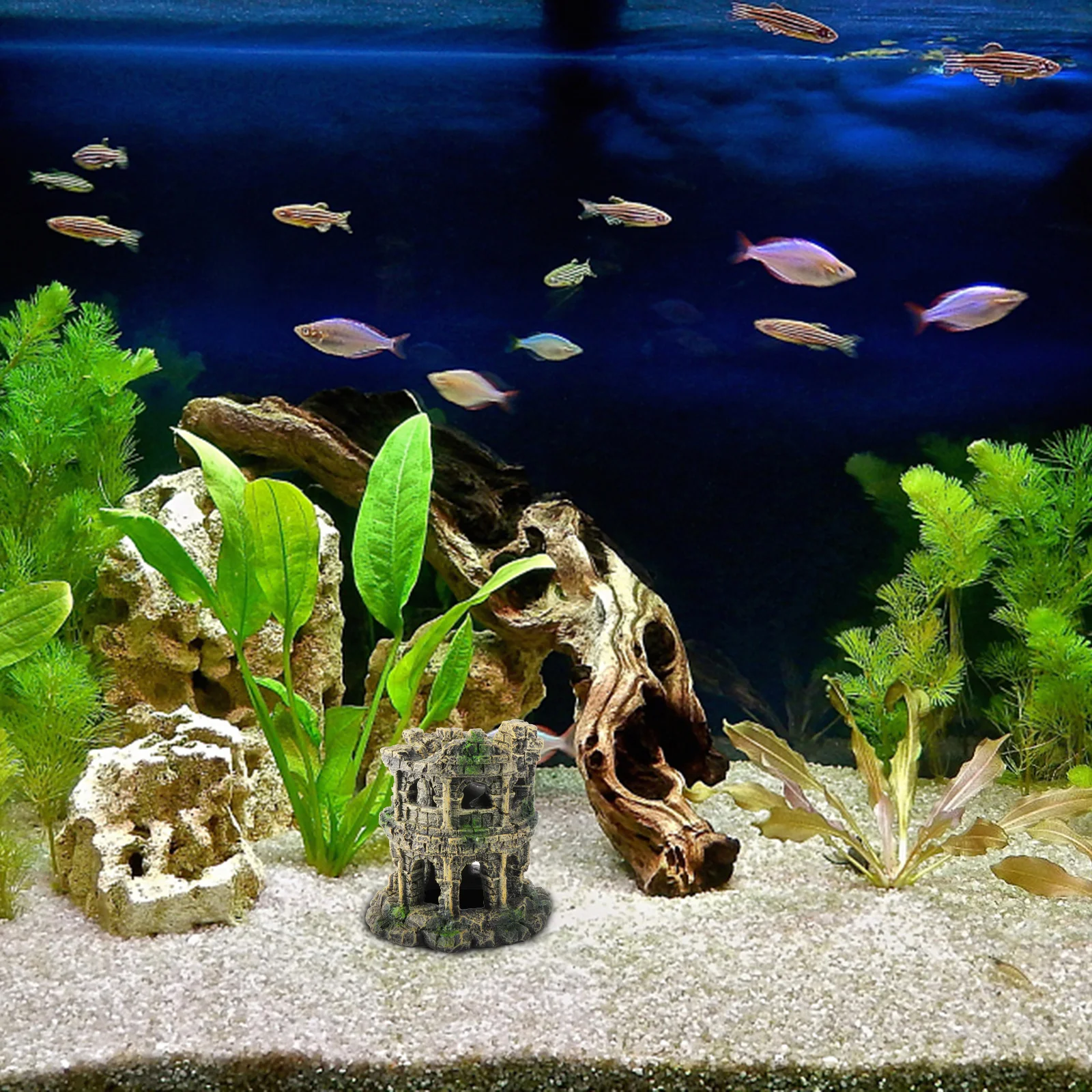 

1Pcs Fish Tank Decoration Rome Colosseum Resin Aquarium Ornament Unique Scenery Safe Fish Tank Decor Aquarium Decoration
