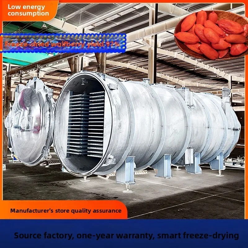 

Low Energy Consumption Intelligent Vacuum Dryer Finished Product White Spots No Peeling Freeze Drying Equipment