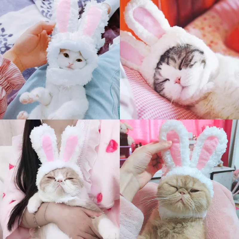 Cute Rabbit Ears Dog Hat Pet Teddy Bichon Costume Transform Cat Headwear Fashionable Net Celebrity Pet Accessories