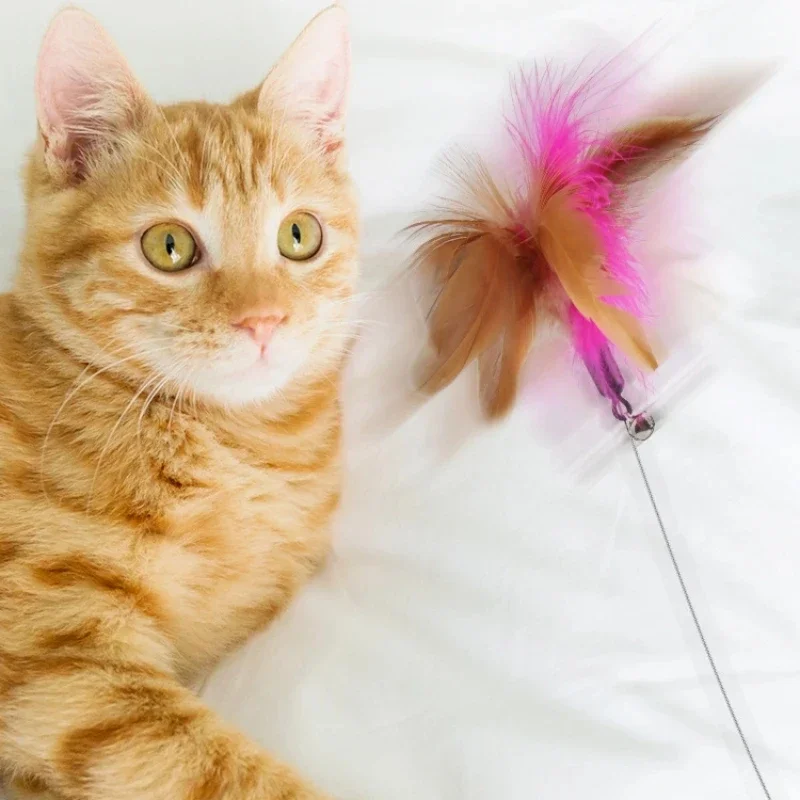 Collar Teaser Cat Stick Self High Cat Toy Sleeve Collar Feather Bell Cat Toy Pet Supplies