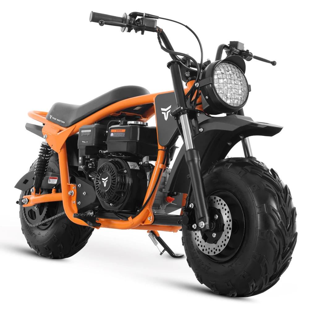 Hot Selling Motor 2025 New Steel Frame Fat Tire Dirt Bike 200cc Mini Bike