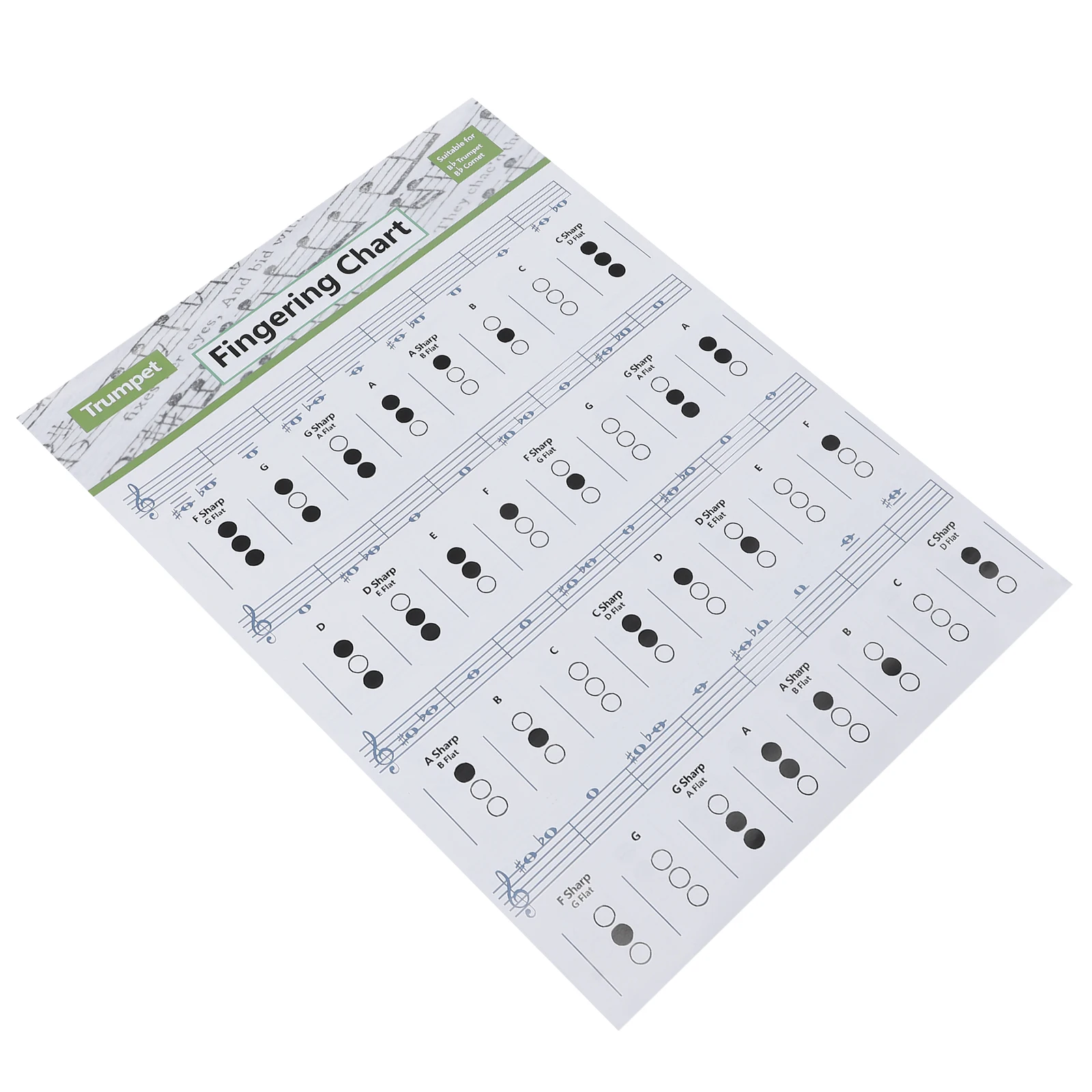 

Chord Fingering Chart Trumpet Learning Reference Guide Beginner Professional Notes Student