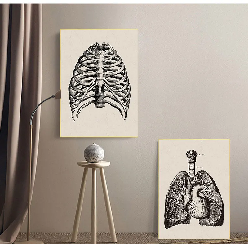 Nordic Canvas Print Education Painting Modern Decor Human Anatomy Artwork Medical Wall Picture Muscle Skeleton Vintage Poster