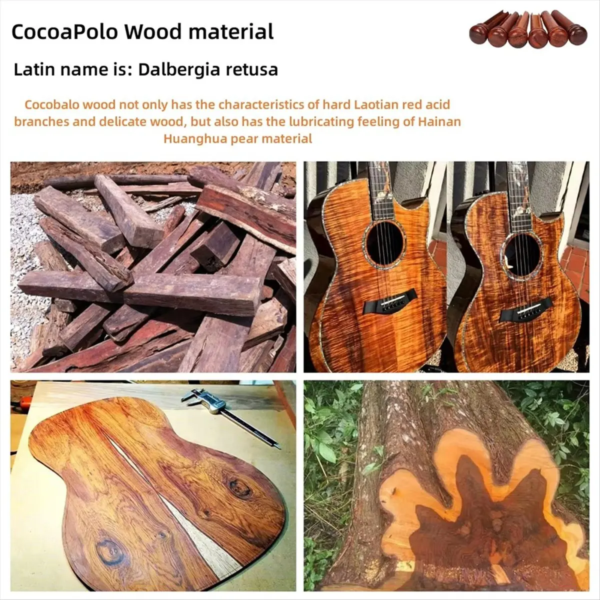 *ABKM 6pcs Cocobolo Guitar Bridge Pins for Enhanced String Instrument Performance Guitar Parts