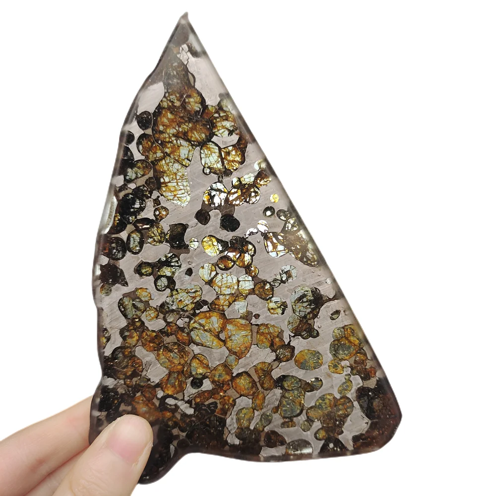 High quality Brenham olive meteorite slices natural meteorite material collection olive meteorite specimens