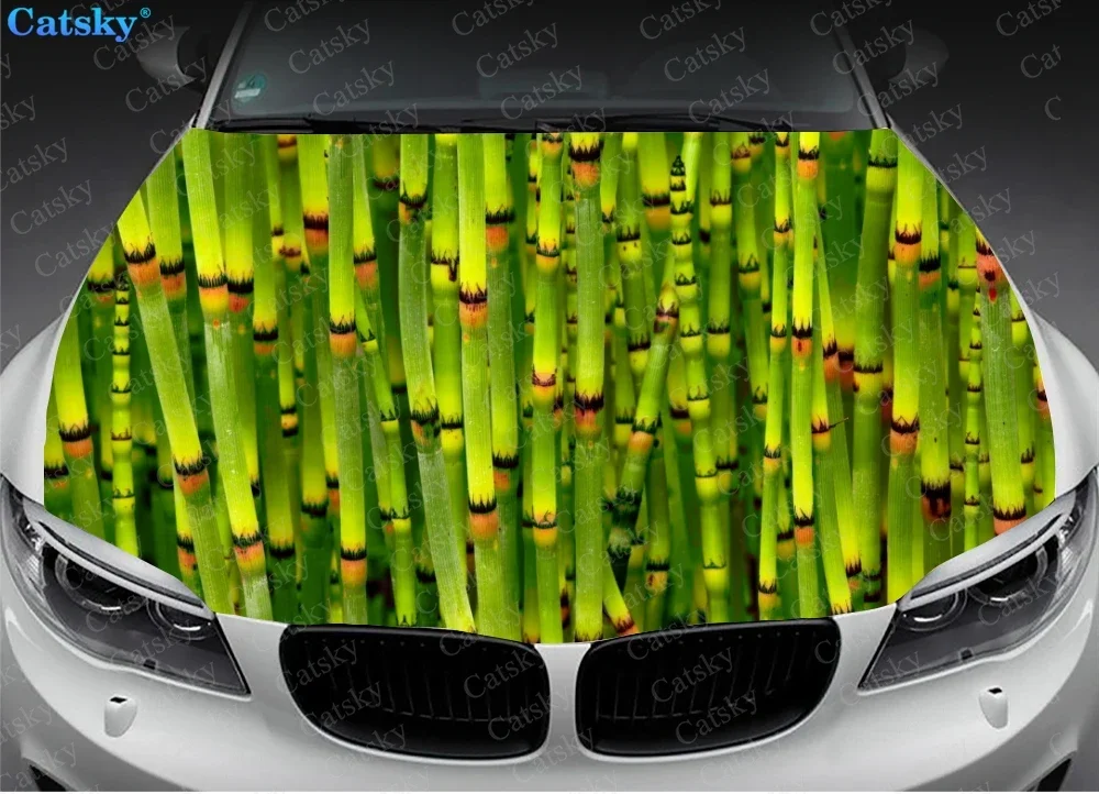 Bamboo Print Car Hood Vinyl Stickers Wrap Vinyl Film Engine Cover Decals Sticker on Car Auto Accessories