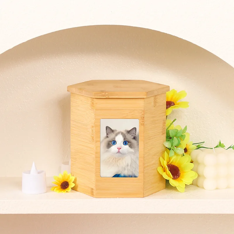 Pet Angel Urn Dog Cat Pet Memorial Cremation Kitten Puppy Cremation Funeral Box