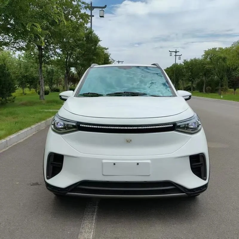 3500W Low Speed 4 Wheel Electric Vehicle Fully Enclosed Mini EV Car New Energy Scooter Factory Direct Sales