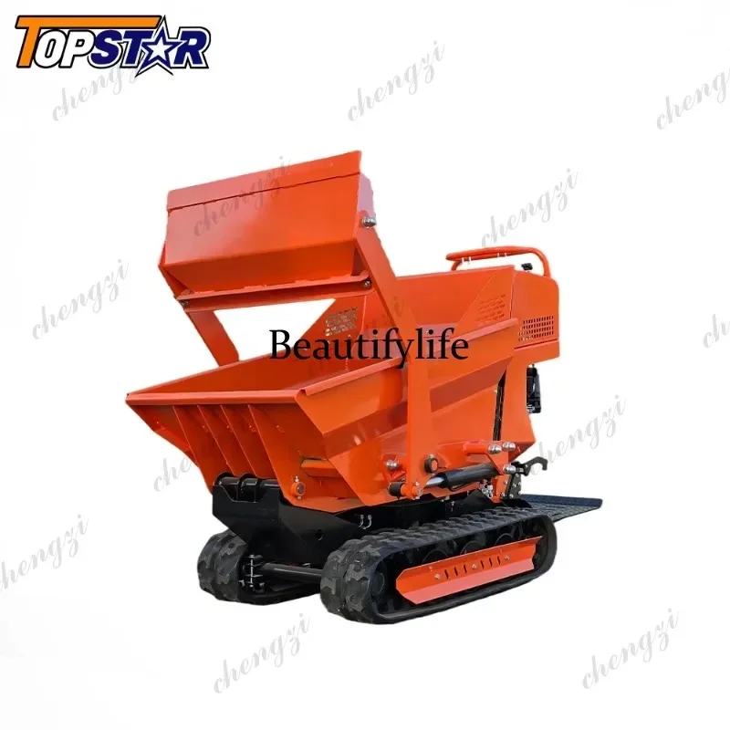 f182 Customized Mini Crawler Dumper 500kg High Quality EUROS 5 EPA Certified Fast Delivery Factory Wholesale Price for Sale