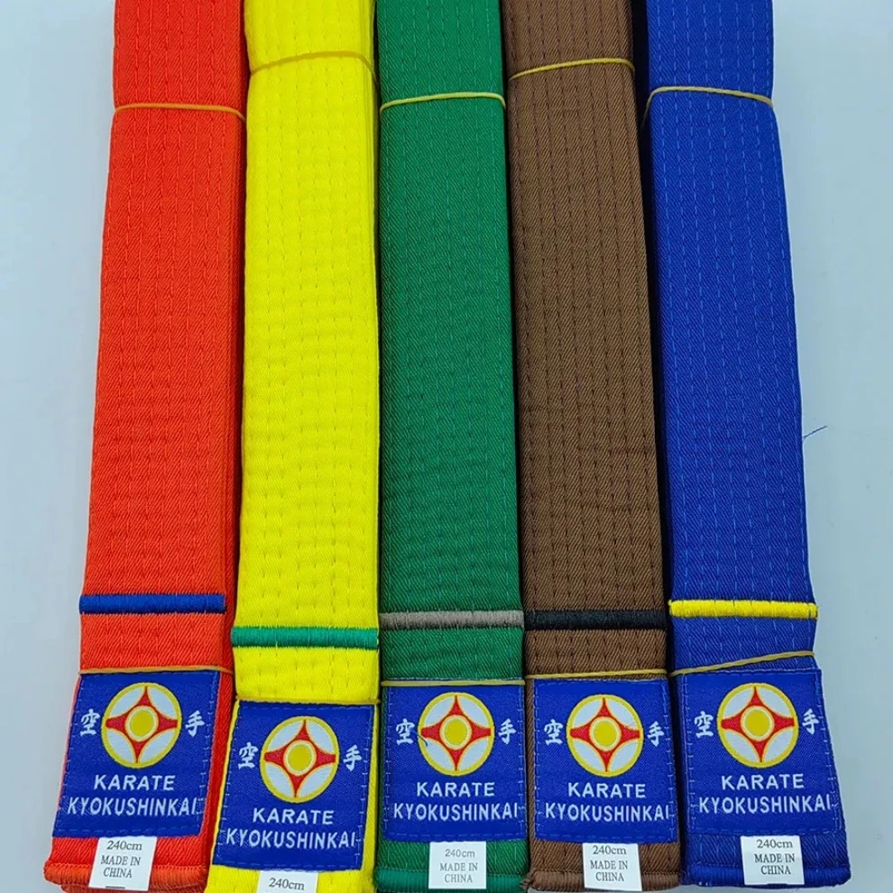 Thumbnail 2 - #14 Trending Martial Arts Belts Right Now