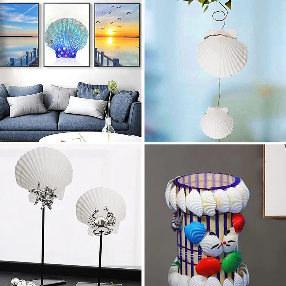 

10Pcs Shell Plate Scallop Shells Natural Seashell Dinner Plates for Wedding Banquet Home Use Scallop Shells Shell Plate Trinket