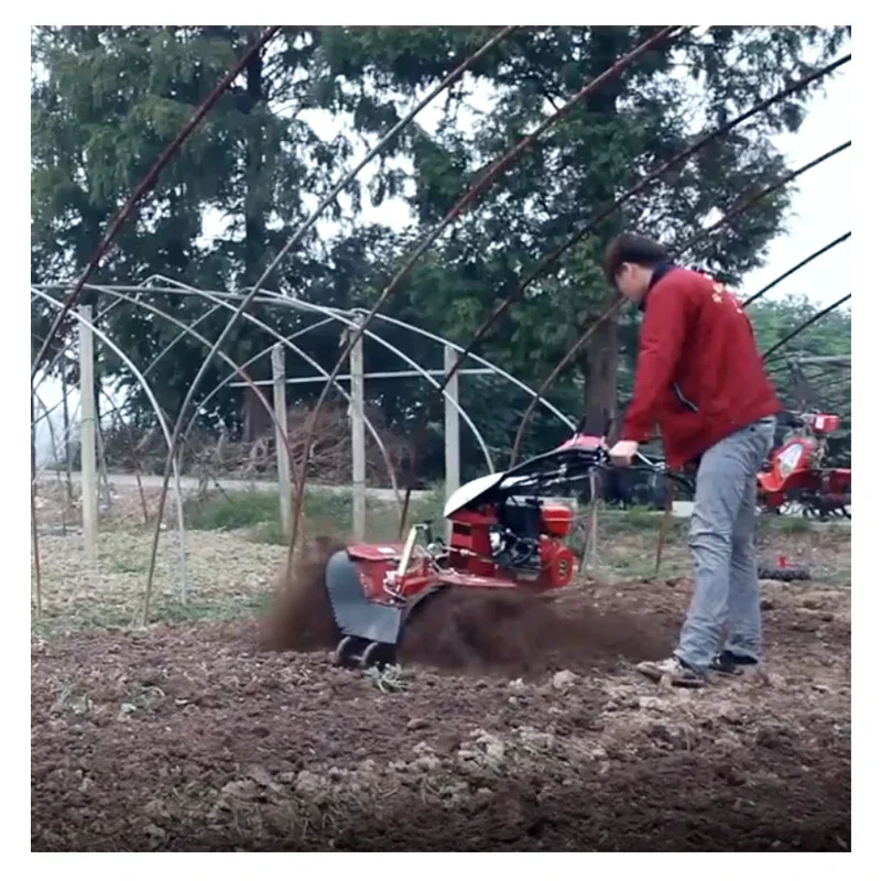 Economical Mini Power Tiller Gear structure Gasoline Ditching Cultivator