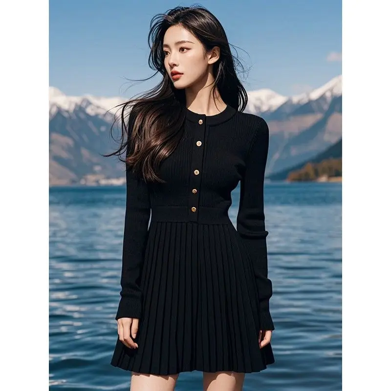 

Black Knit Dress 2025 New Spring and Autumn Fashion Design Single-Breasted Long-sleeved Knitted Pleated Dress For Women