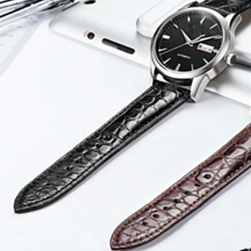 Real Alligator Watch Strap Genuine Leather Watch Bands For Men Or Women Watch Accessories 12 - 24mm image 5