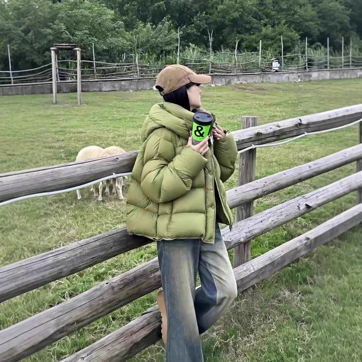 المرأة الجديدة نفخة السلاحف الظهر الأخضر قصيرة أسفل سترة قطن المرأة شتاء 2025 الليمون الأخضر معطف القطن مقنعين معطف الخبز