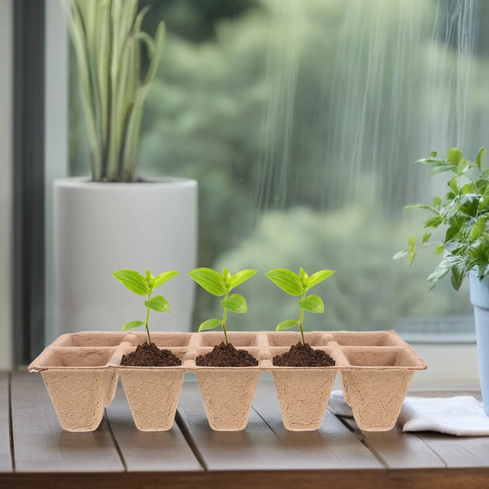 

20 Pcs Seedling Cups Biodegradable Plant Fiber Garden Transplant Trays Germination Starter for Flowers Herbs Vegetables