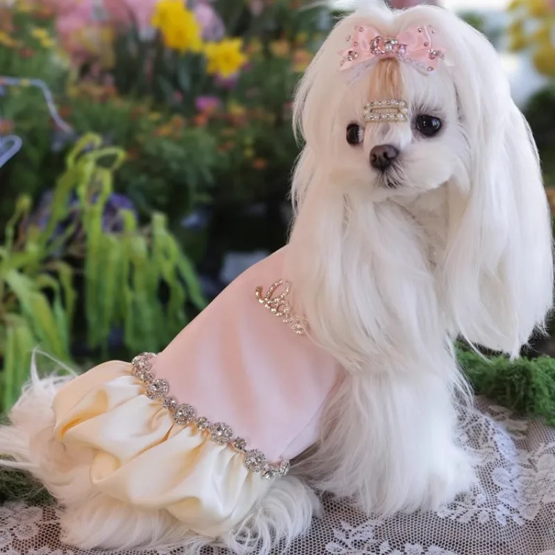 

spring summer dog skirt wedding dress Maltese clothes cat chihuahua yorkshire terrier Shih Tzu Pomeranian