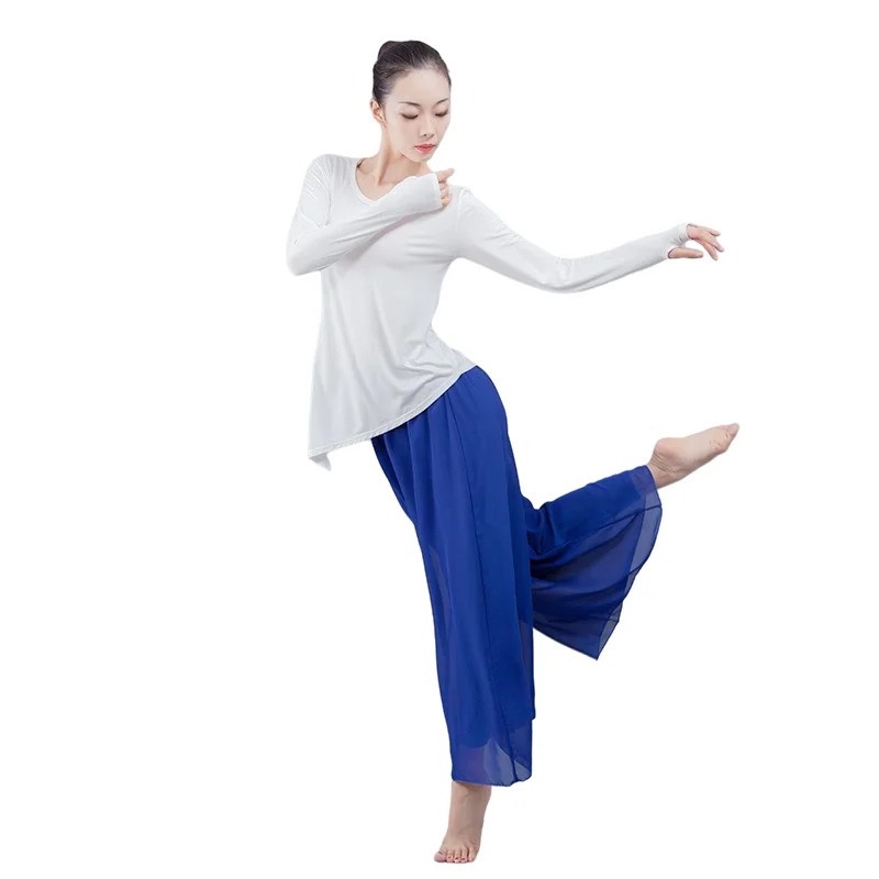 Women\'s Long Sleeve Modern Dance Suit Round Neck Shirt Chiffon Loose Legs Pants 2 Pieces Classical Dancewear Yoga Set 2882 2871