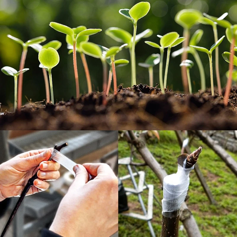 Glutinous Rice Paper Grafting Special Film Fruit Tree Self-adhesive No-dismantling Film Degradable Fast Delivery