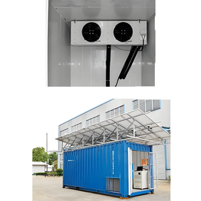 Prezzo di fabbrica Contenitore mobile da 20 piedi Sala di stoccaggio freddo a energia solare per negozio di ghiaccio di carne di pesce e frutta e verdura