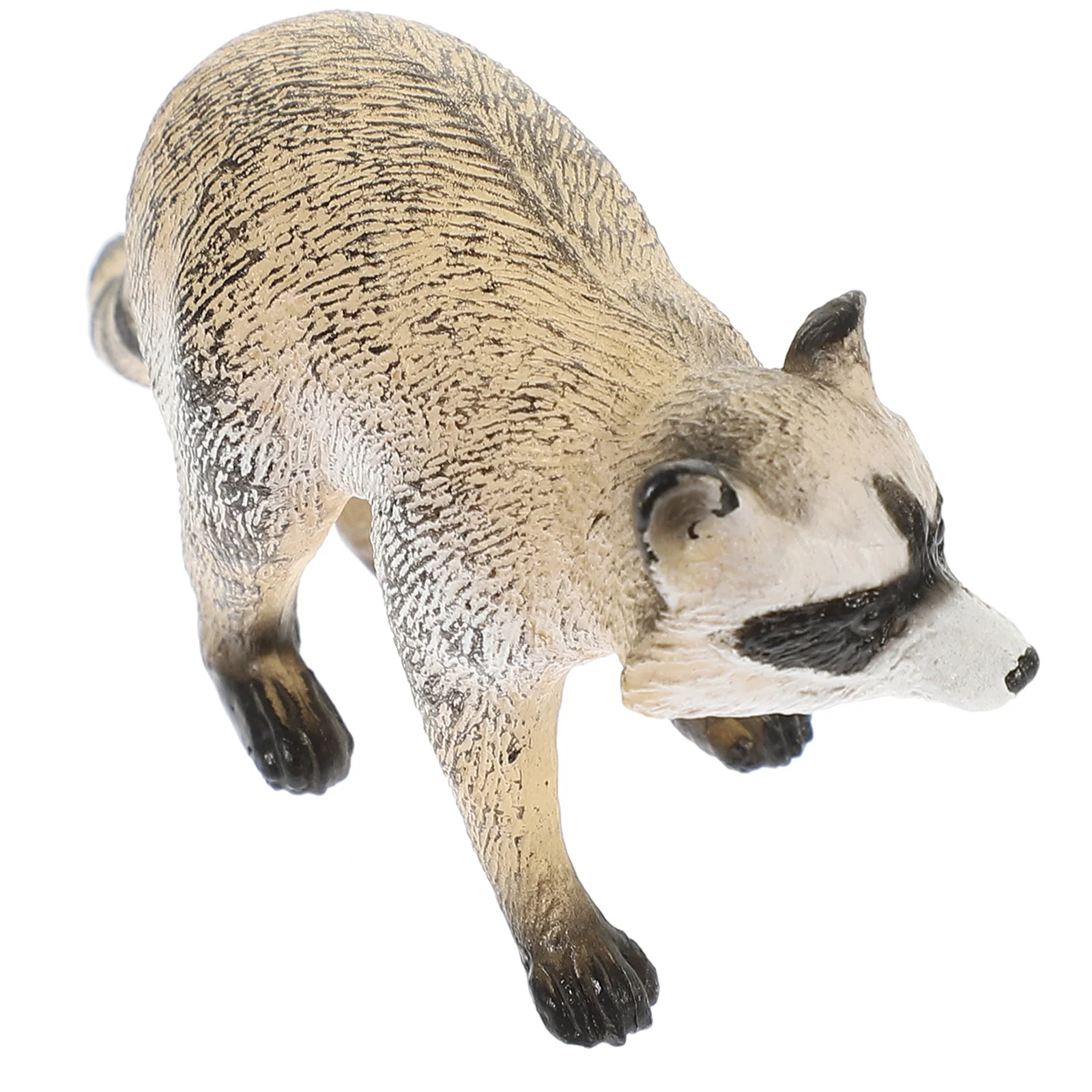 Household Science and Education Simulation Wildlife Model Raccoon Cognitive Ornaments Child Toy Figurines Plastic