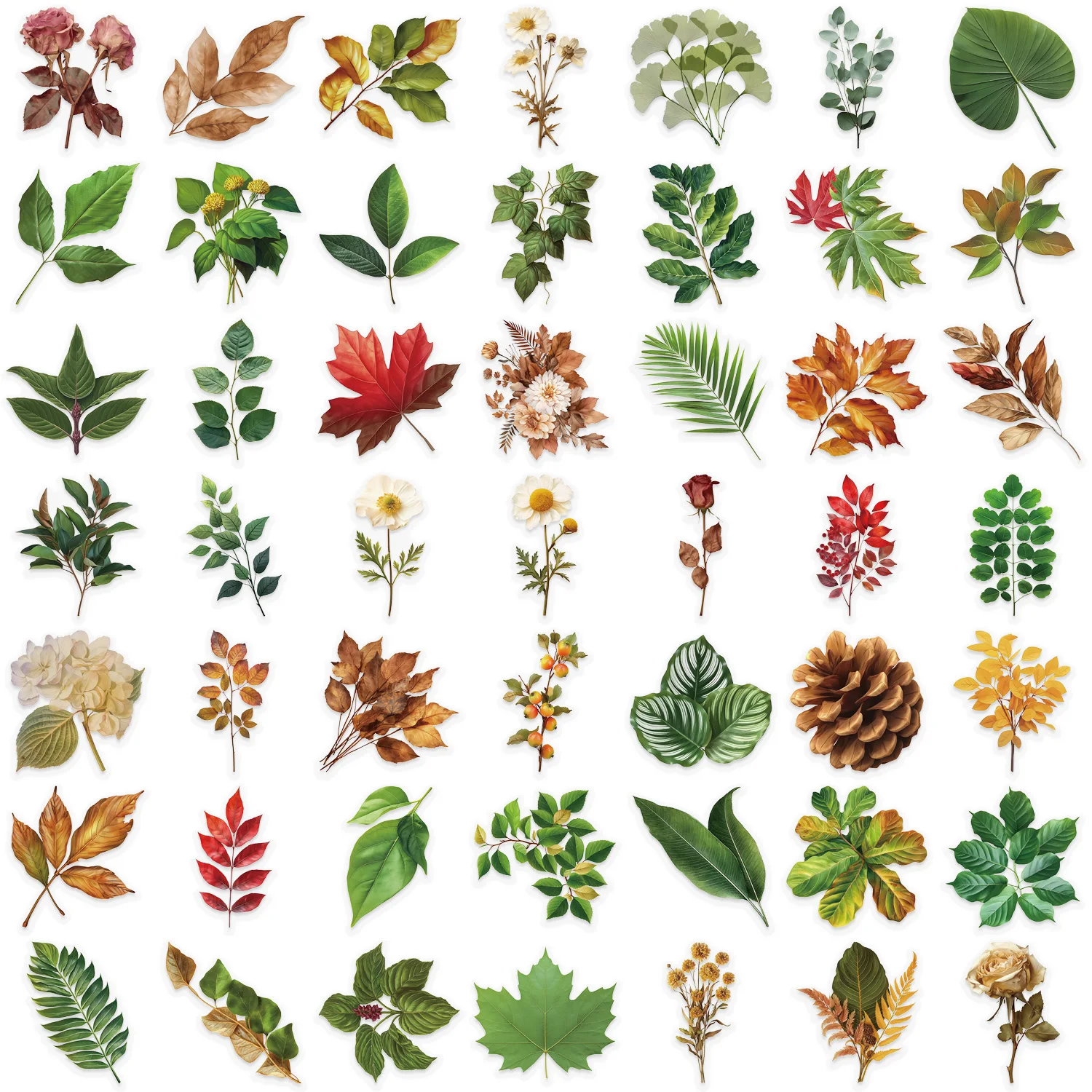 Autocollants Graffiti feuilles de plantes, 50 pièces, autocollants esthétiques pour bagages, vélo, téléphone, ordinateur, cadeau du nouvel an, décoration pour animaux de compagnie, DIY bricolage