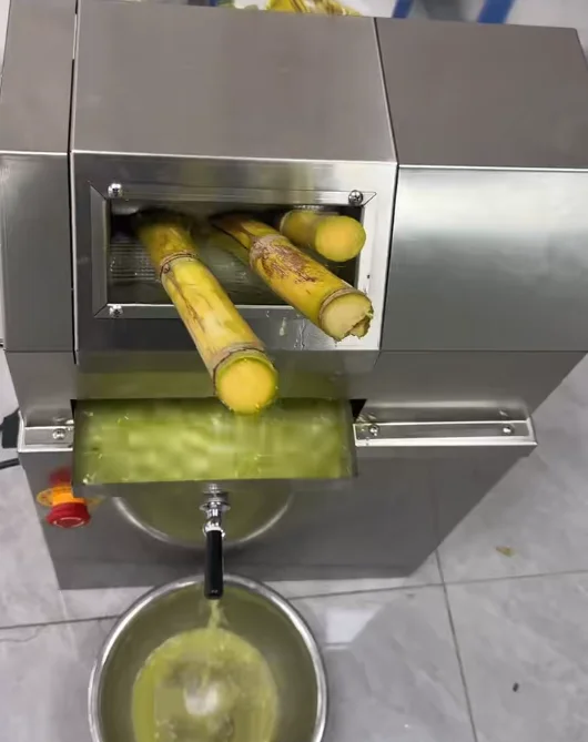 Commercial Sugarcane Juicer Machine with Wide Rectangular Inlet Multi-Stick Feeding Sugarcane Juice Extractor