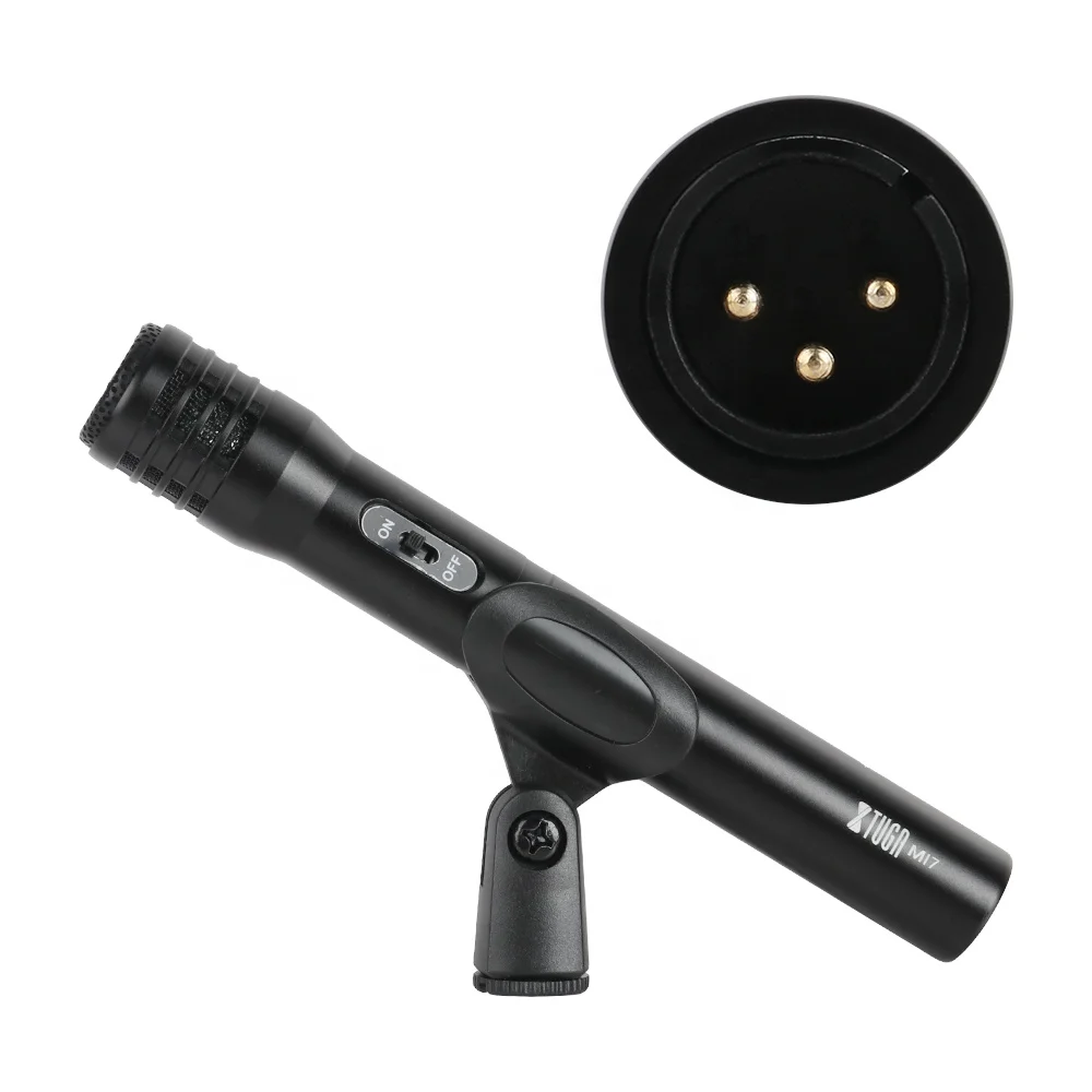 Ensemble de microphone portable avec logo personnalisé pour batterie