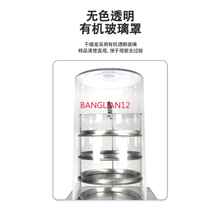 Freeze-dried food fruit and vegetable Cordyceps small vacuum freeze dryer pet laboratory