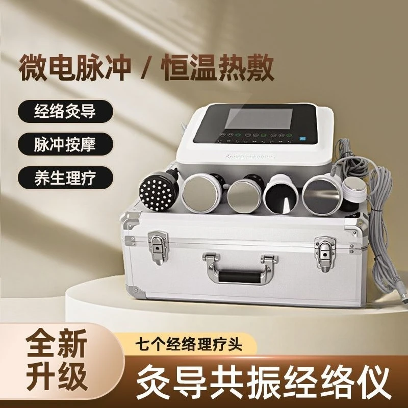 Plant bioelectric dredging massage therapy nourishing instrument beauty salon