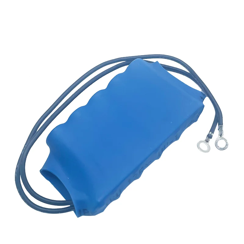 PowerStor Aerogel 13.5V2F Heat Shrink Shell 2.7V10F Intelligent Vehicle Conservation Energy Module For Backup Power Supply