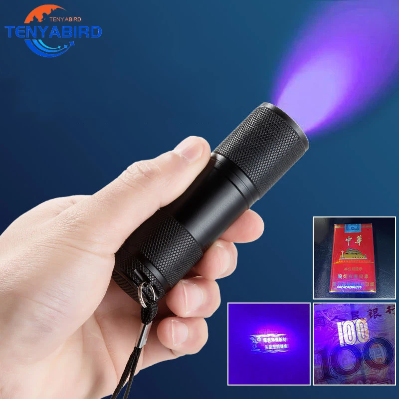 Mini lampe de poche à 12 Led UV 395nm, imperméable, lumière noire, détecteur de taches d'urine, torche pour animaux de compagnie, lumière noire