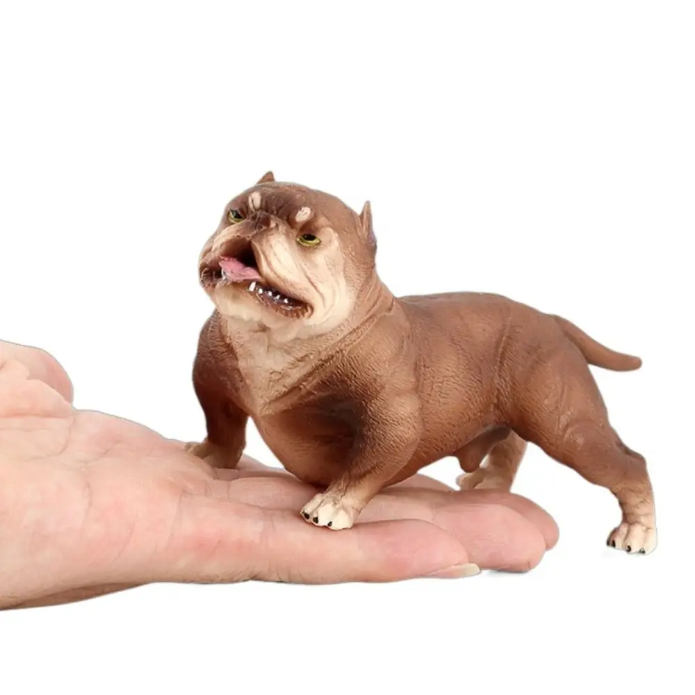 

Модель животного: Бульдог, образовательная миниатюрная имитационная фигурка, цельная статуэтка питбуля, украшение для дома