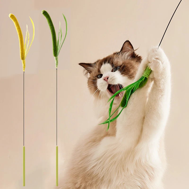 

50cm Long Pole Dog Tail Grass Cat Teasing Stick Bite Resistant Self Soothing Steel Wire Cat Interactive Toy Kitten Accessories