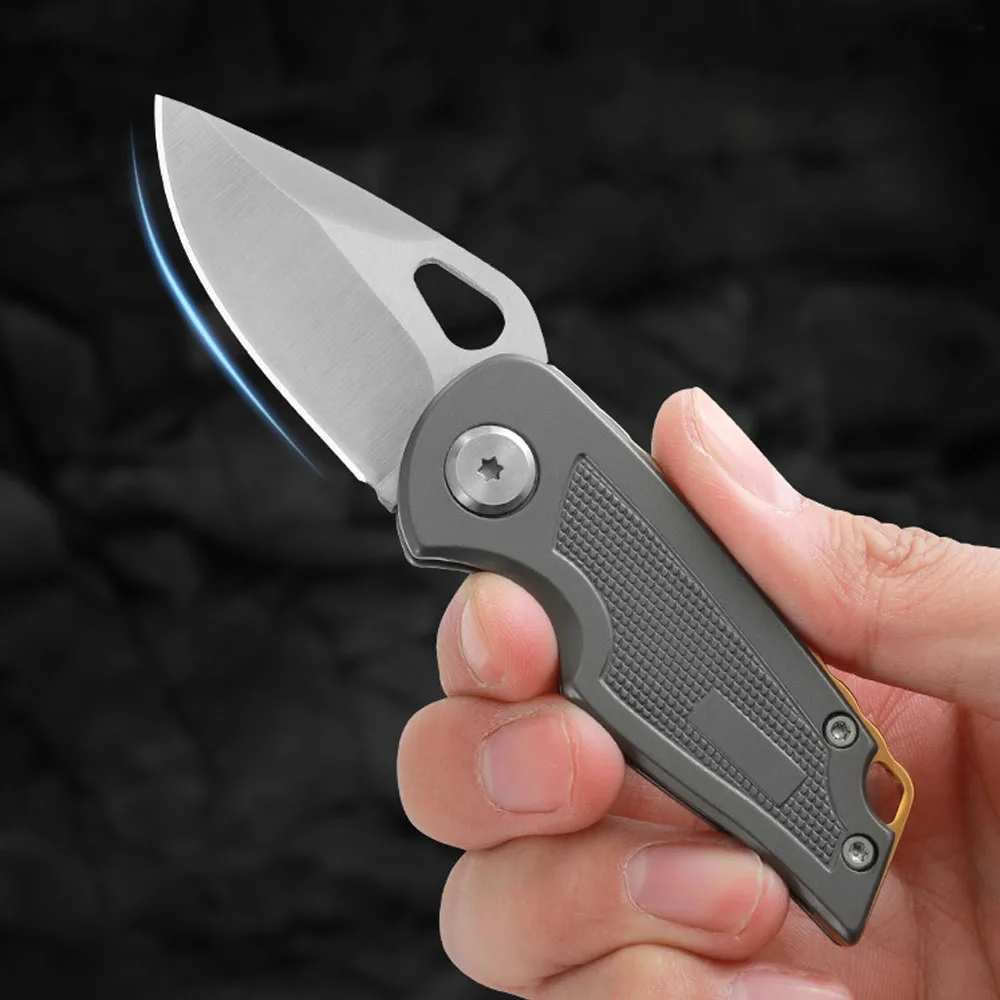 Stainless Steel Mini Folding Knife Cheap Keychain Jackknife Portable Tactical Multipurpose Outdoor Small Pocket Knives For Men