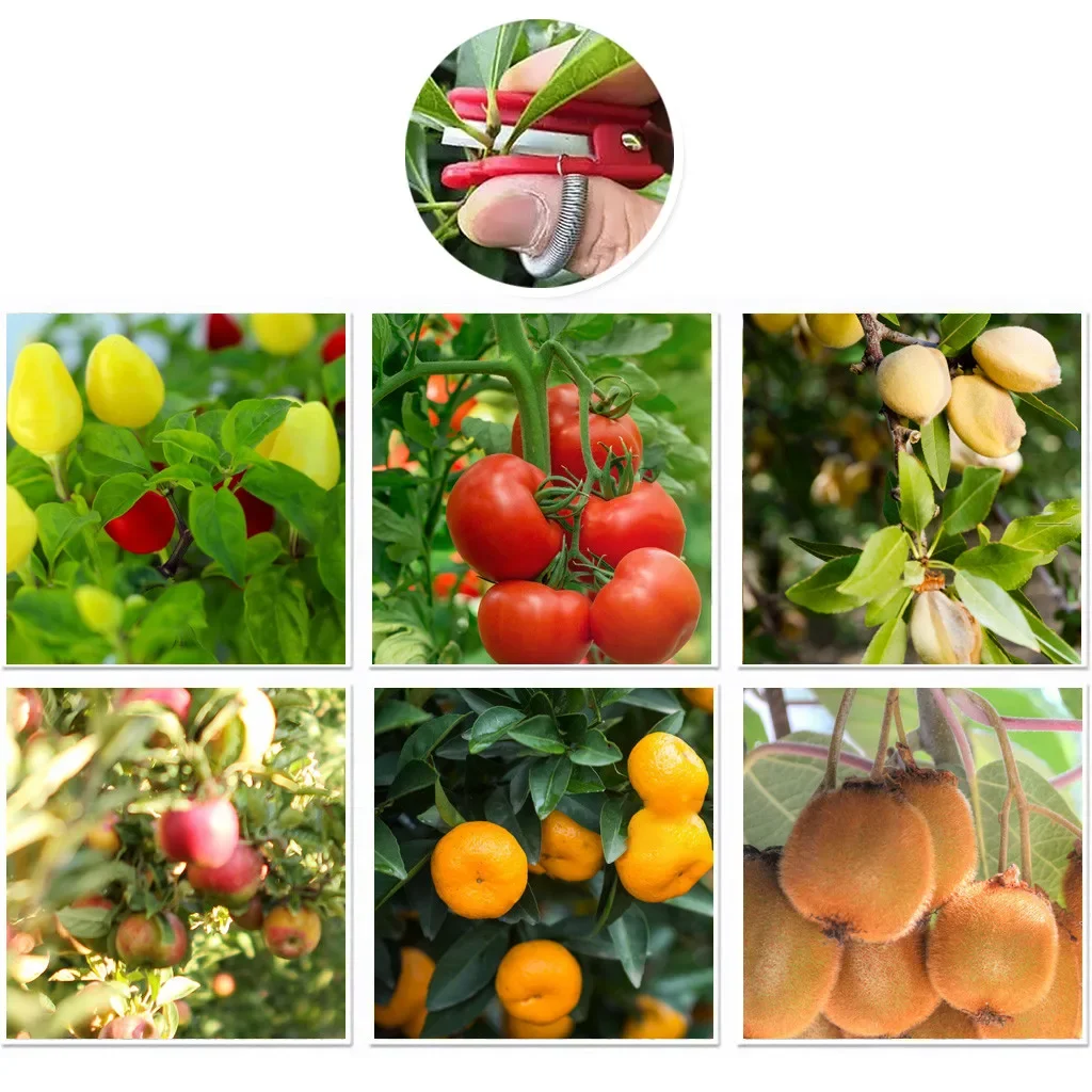 Garden trimmer fruit picking device multifunctional protector catcher thumb knife safety fruit blade tool cutting blade