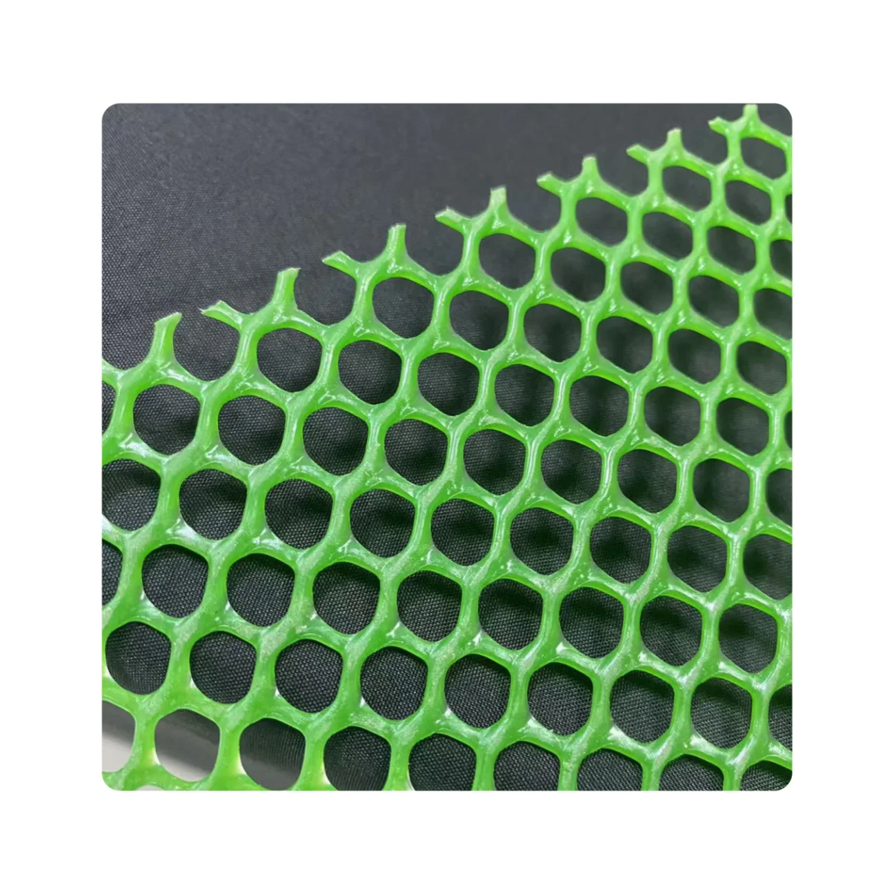 

Poultry Husbandry Equipment Livestock Chicken Net